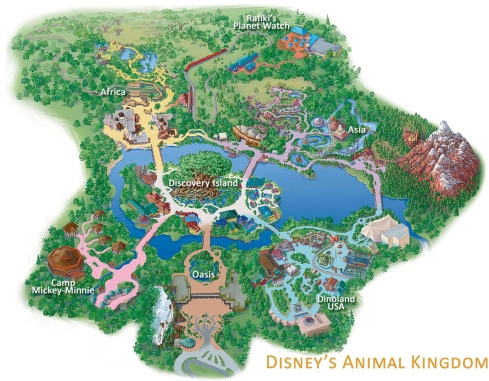 Carte Animal Kingdom